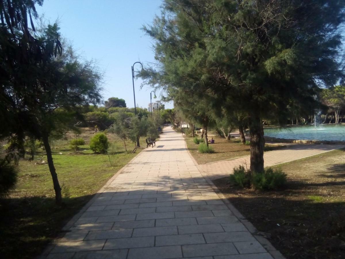 Cabo Cervera Front Sea Torrevieja